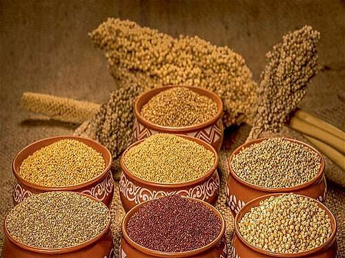 UNPOLISHED MILLETS