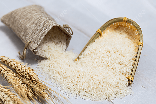 RICE