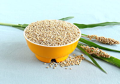 Sorghum