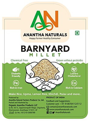 Barnyard Millet