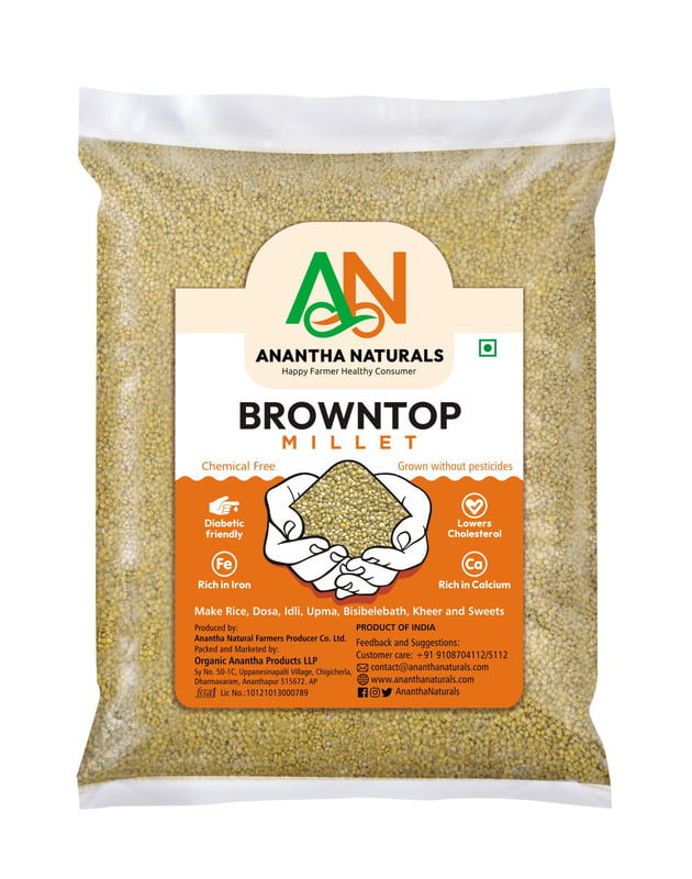 Browntop millet(Andukorra) Browntop millet(Andukorra)