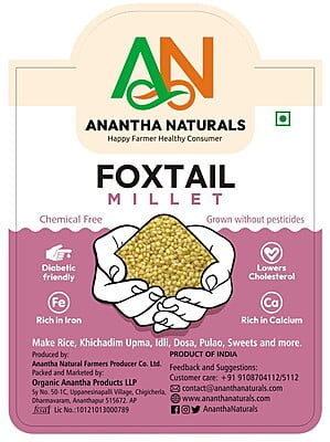 Foxtail Millet Rice