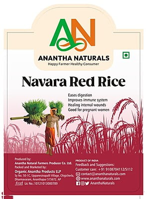 Navara red rice