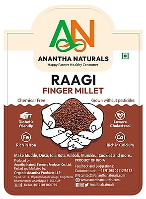 Finger Millet Finger Millet